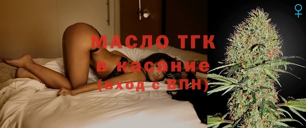 молекула духа Арсеньев