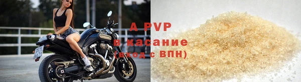 молекула духа Арсеньев
