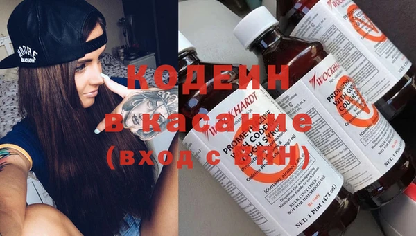трава Балахна