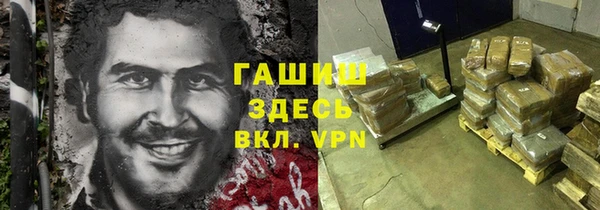 молекула духа Арсеньев